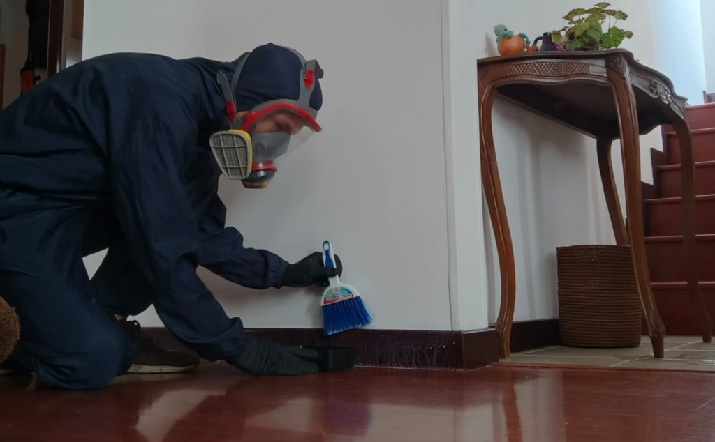 Técnico realizando un tratamiento en zonas perimetrales de un espacio interior